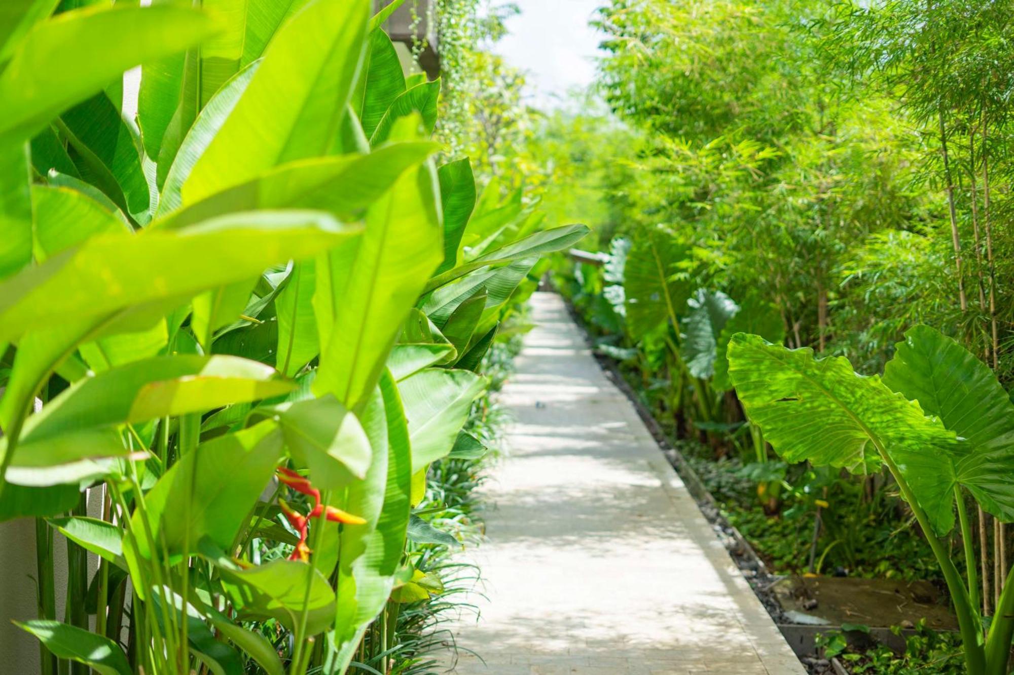 Hotel Andaz Bali, By Hyatt 5*